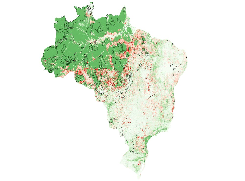 Message To The Eu You Have The Chance To Stop Fuelling Devastation In The Amazon Message To The Eu You Have The Chance To Stop Fuelling Devastation In The Amazon