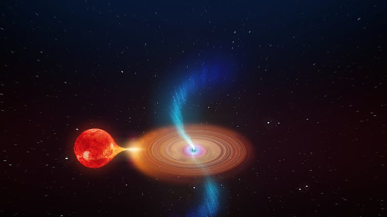 Like a spinning top: wobbling jets from a black hole that's 'feeding' on a companion star