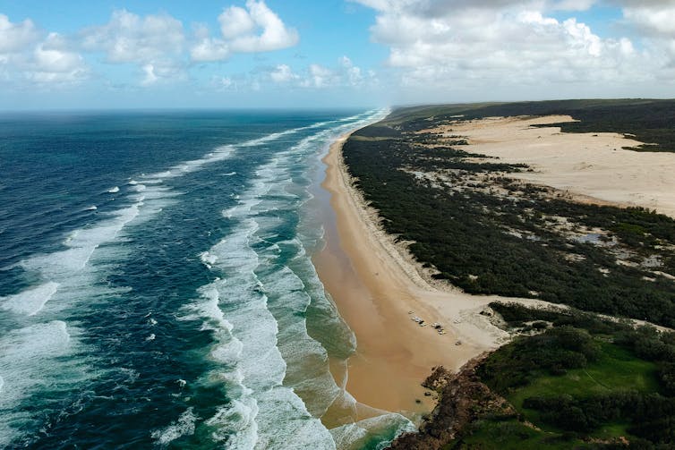 Dingoes and humans were once friends. Separating them could be why they attack