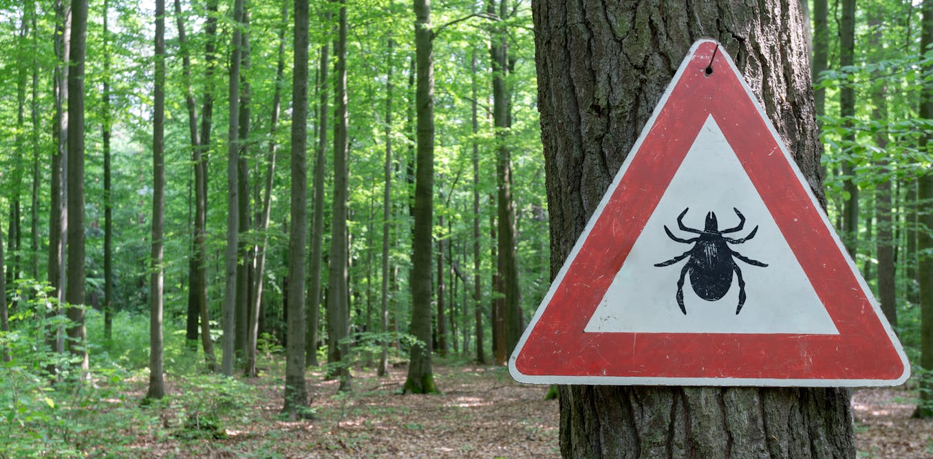 une tique vous pique pas de panique cet outil en ligne pourrait vous eviter bien des soucis