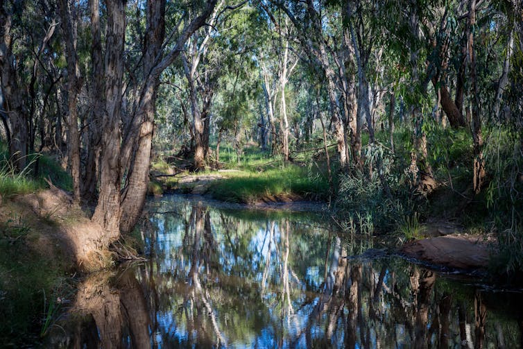 Unpacking the flaws in Adani's water management plan