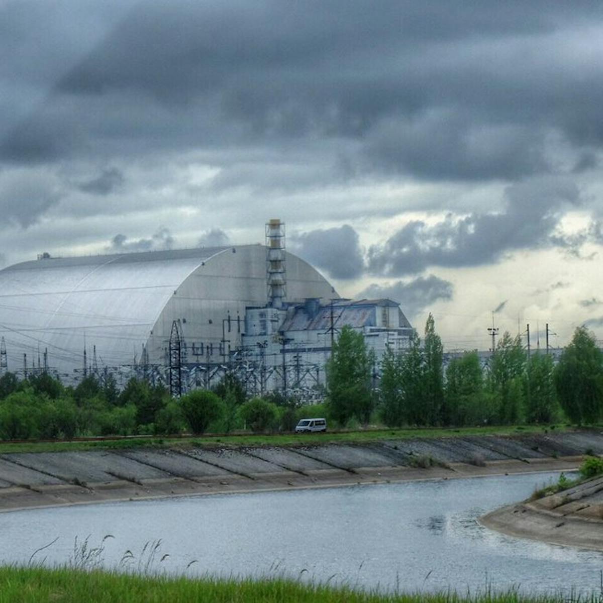 Chernobyl Has Become A Refuge For Wildlife 33 Years After The
