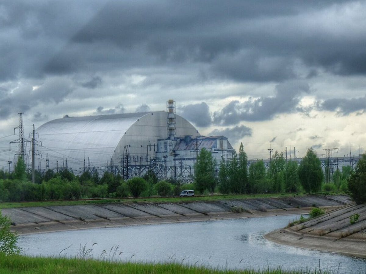Chernobyl Has Become A Refuge For Wildlife 33 Years After The Nuclear Accident Chernobyl Has Become A Refuge For Wildlife 33 Years After The Nuclear Accident