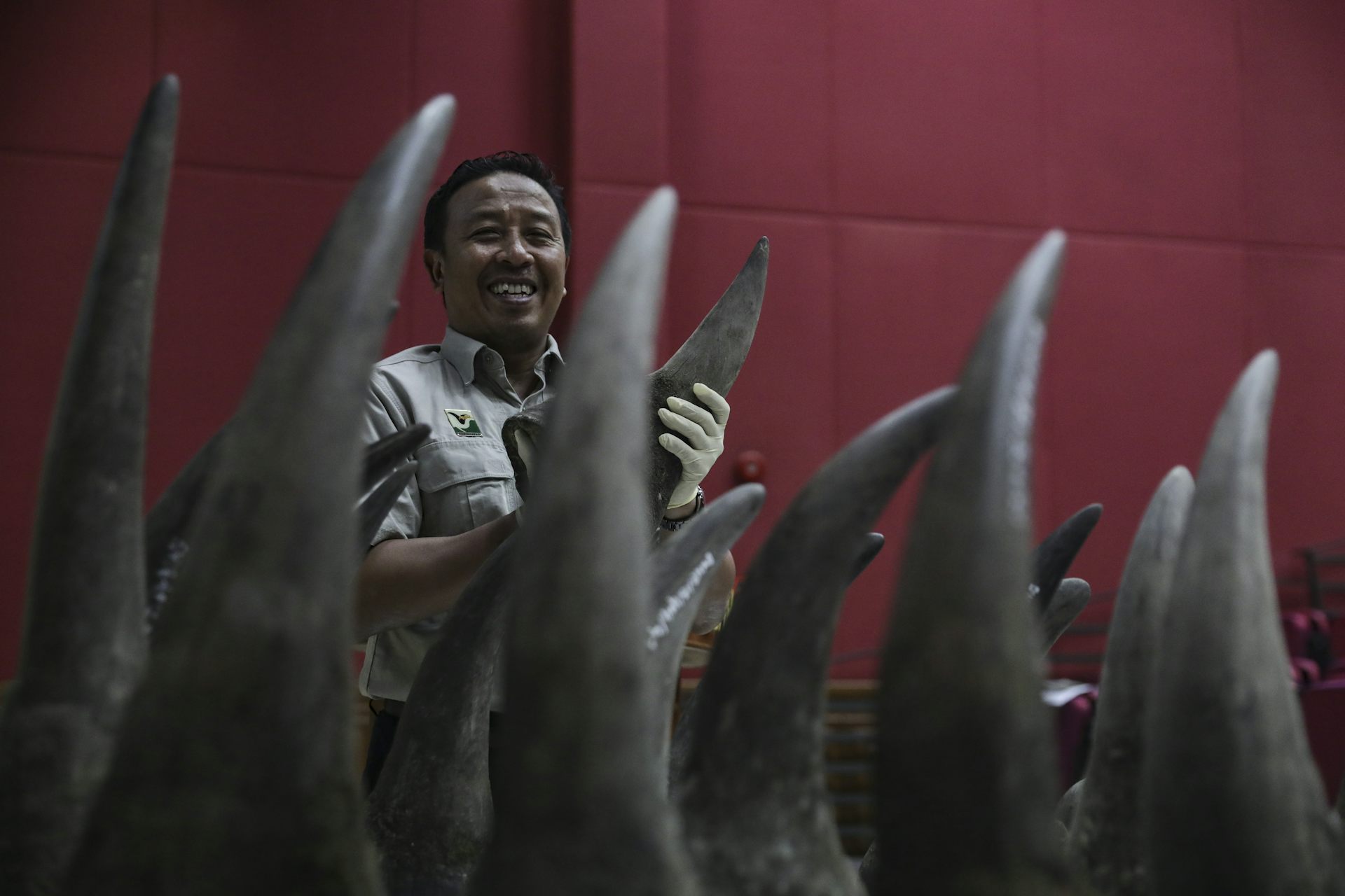 We Asked People in Vietnam Why They Use Rhino Horn. Here’s What They Said