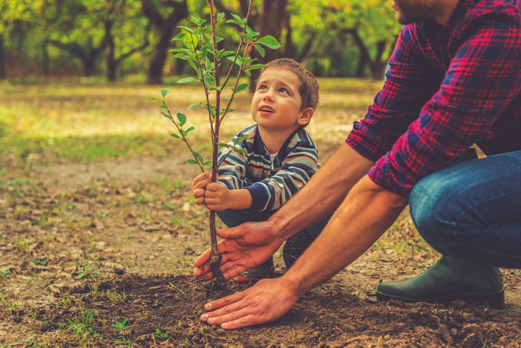 How to stop climate change six ways to make the world a How to stop climate change six ways to make the world a