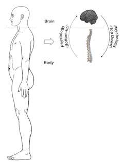 Brain over body: Hacking the stress system to let your psychology influence your physiology