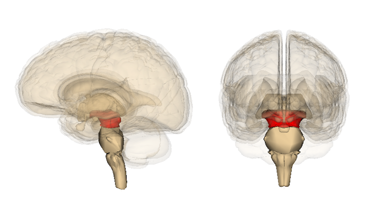 Brain over body: Hacking the stress system to let your psychology influence your physiology