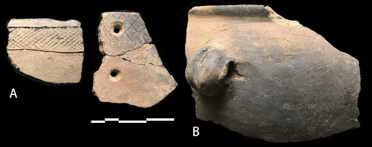 Ancient DNA is revealing the origins of livestock herding in Africa