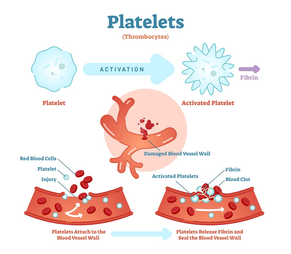 Platelets: The chameleons of cancer biology