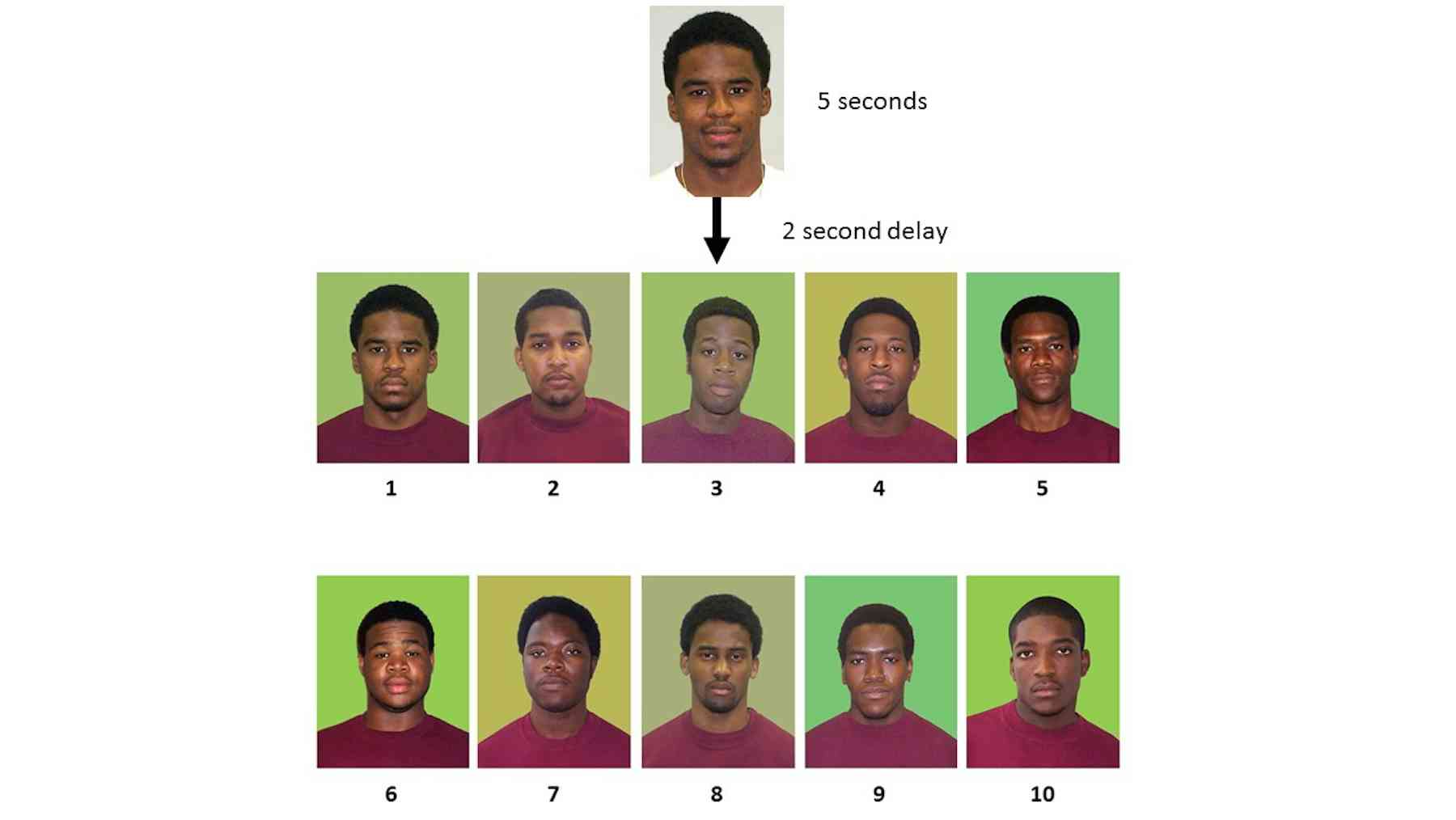 Police photo lineups how background colours can skew eye witness identification Police photo lineups how background colours can skew eye witness identification