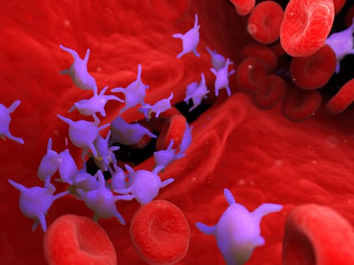 Platelets: The chameleons of cancer biology