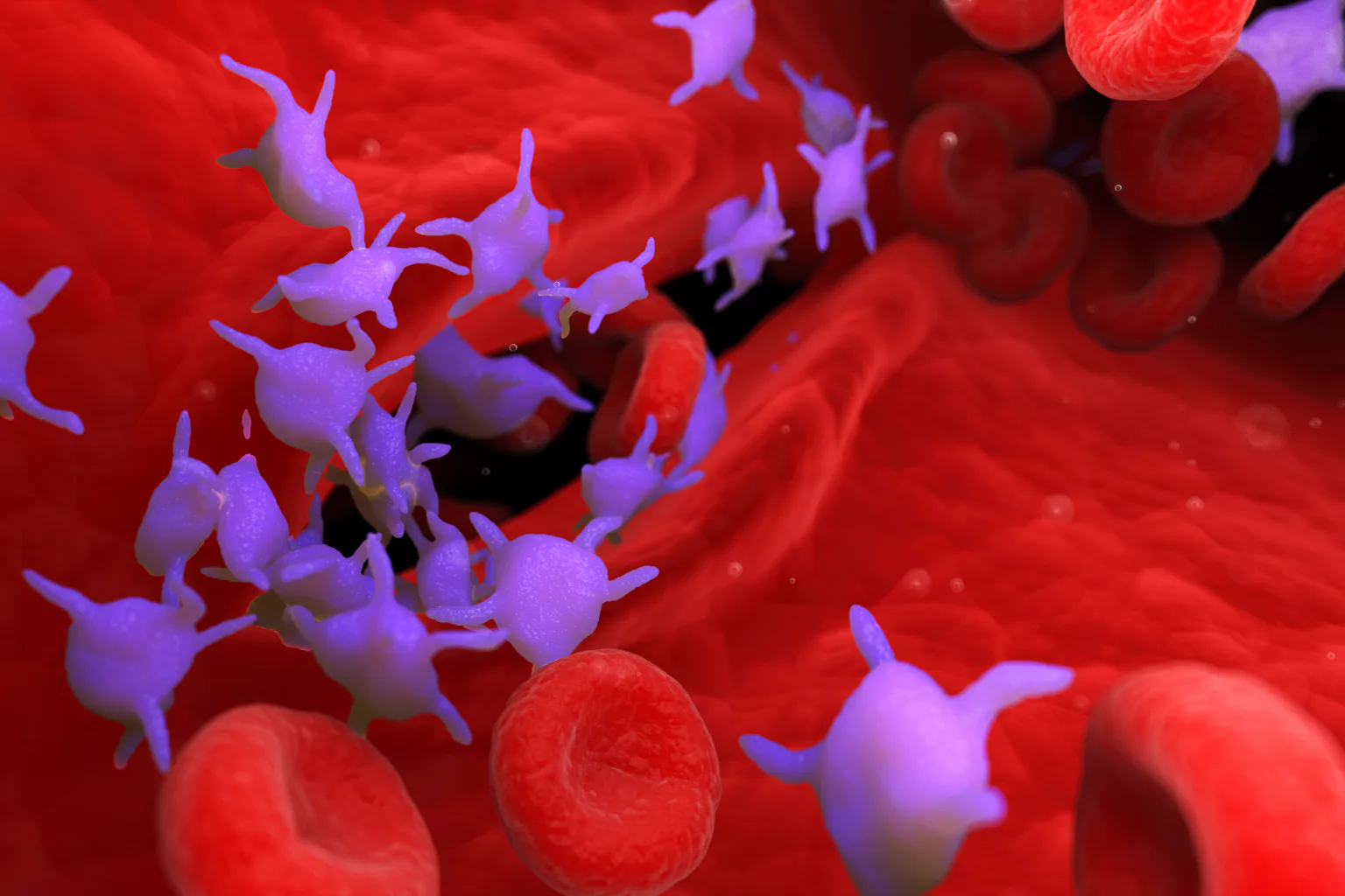 Round Color Platelets Platelets: The chameleons of cancer biology