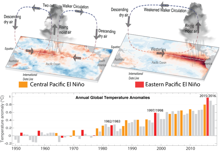 El Niño has rapidly become stronger and stranger, according to coral records