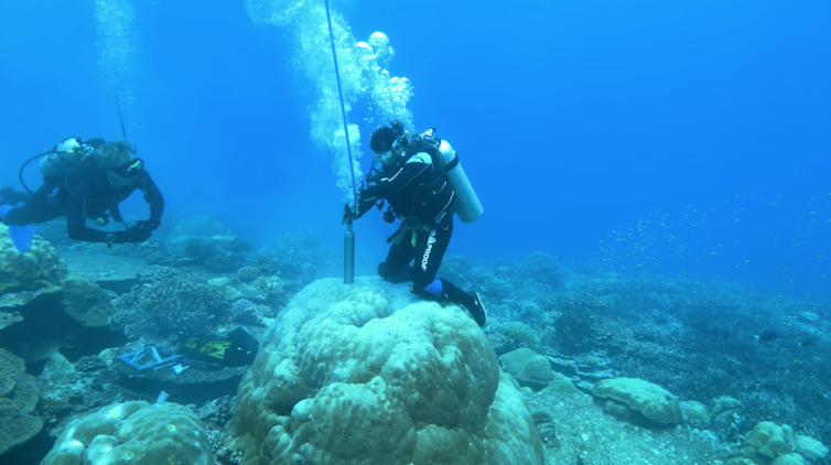 El Niño has rapidly become stronger and stranger, according to coral records