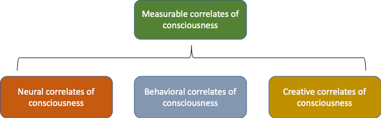 How can you tell if another person, animal or thing is conscious? Try these 3 tests