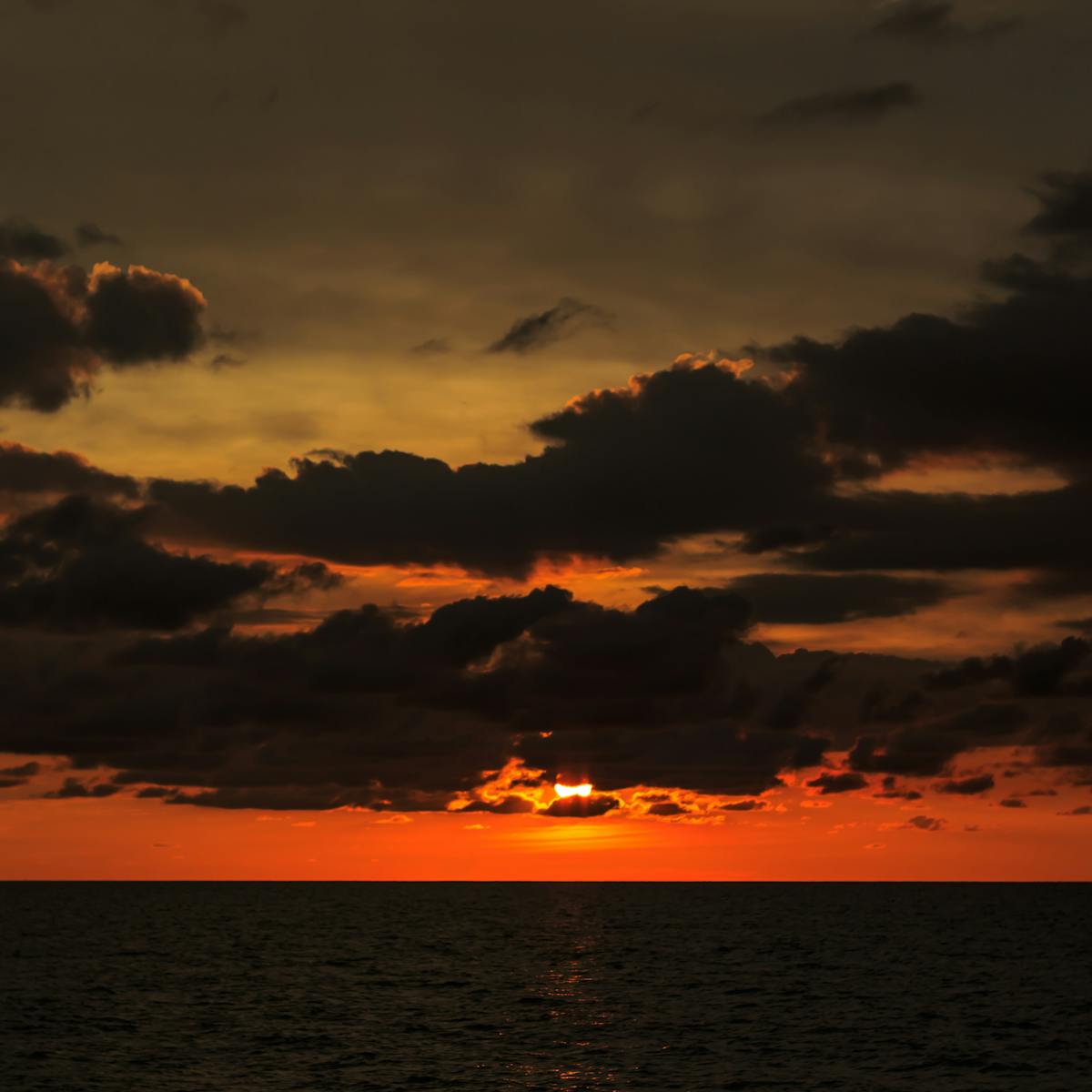 Apocalypse Now Turns 40 Rediscovering The Genesis Of A Film Classic Apocalypse Now Turns 40 Rediscovering The Genesis Of A Film Classic