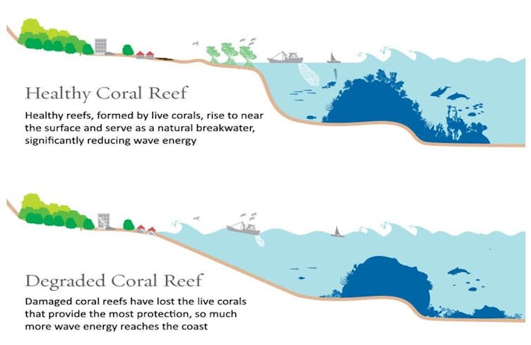 Coral reefs provide flood protection worth $1.8 billion every year – it's time to protect them