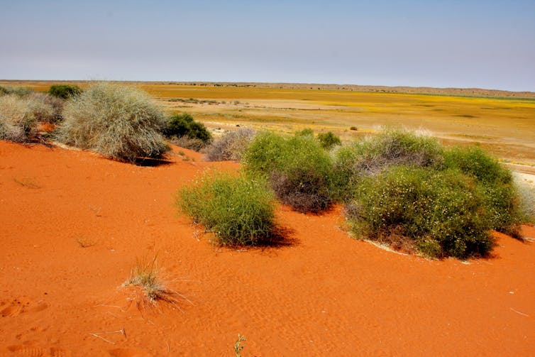 Indigenous rangers don’t receive the funding they deserve – here's why