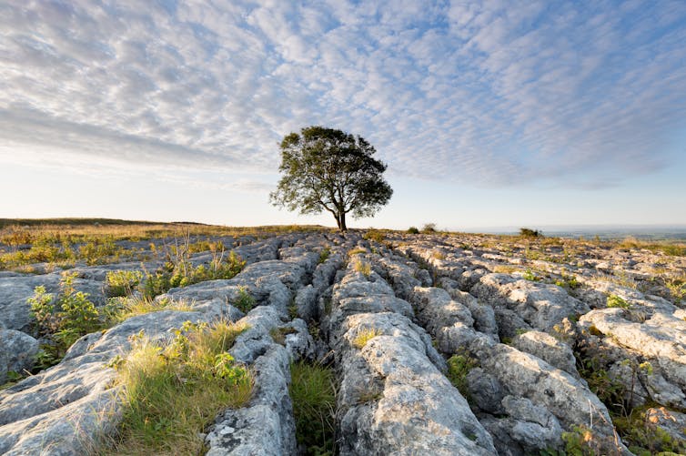 File 20190507 103049 1v1nw1y.jpg?ixlib=rb 1.1