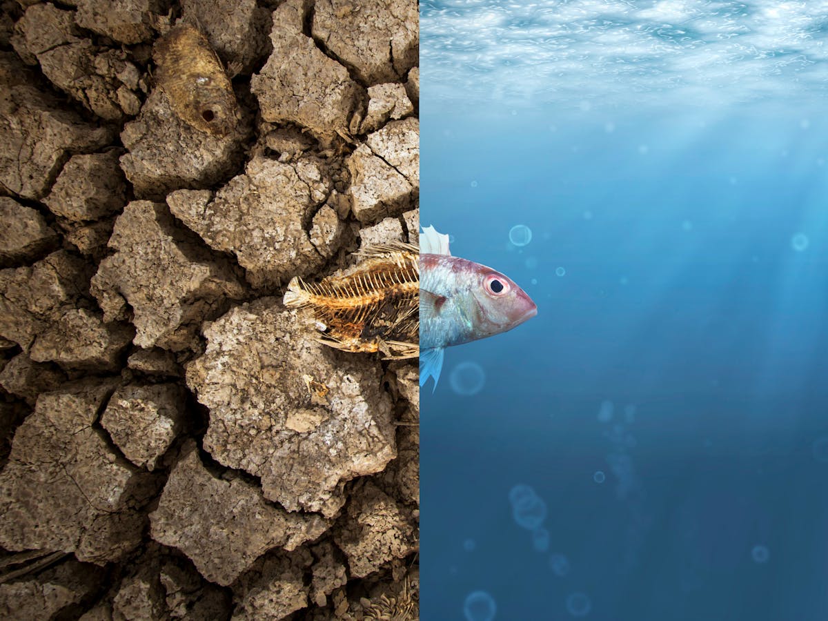 Climate Change We Ve Created A Civilisation Hell Bent On