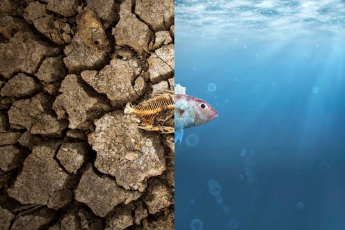 Climate change: 'We've created a civilisation hell bent on destroying itself – I'm terrified', writes Earth scientist