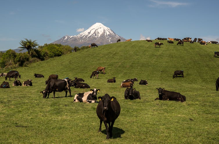 File 20190508 183083 12mudi2.jpg?ixlib=rb 1.1