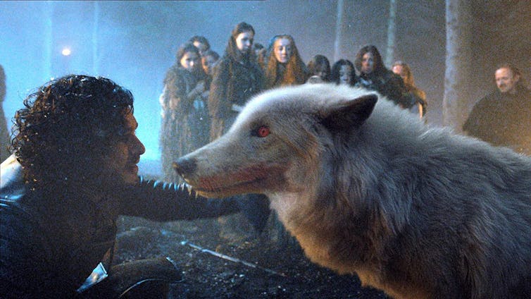 You know nothing about rehoming a pet, Jon Snow