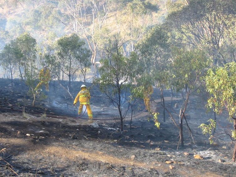 Curious Kids: how do bushfires start?