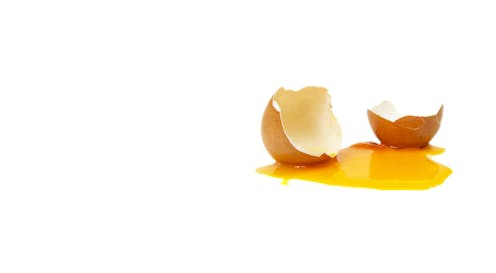 Egging the question: can your employer sack you for what you say or do in your own time?