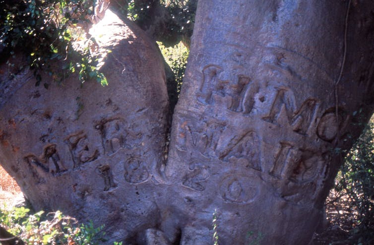how rock art in WA sheds light on historic encounters of Australian exploration