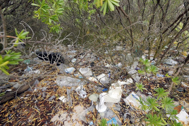 Will the discovery of another plastic-trashed island finally spark meaningful change?