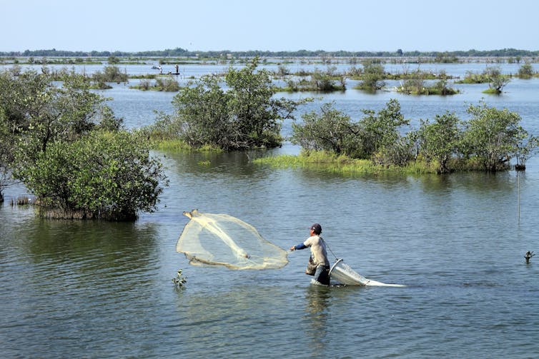 Hydropower dams can harm coastal areas far downstream