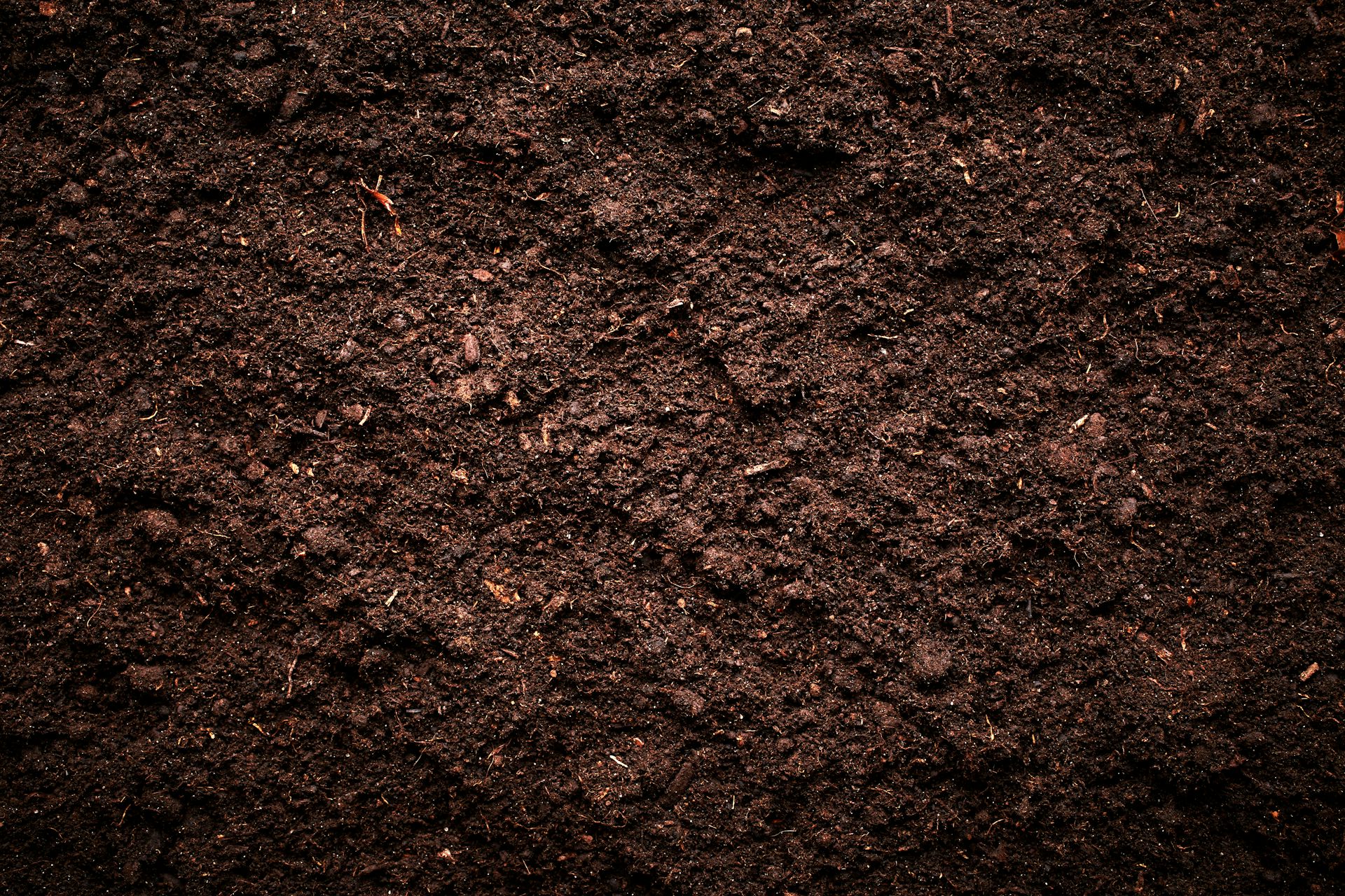 Soil is the key to our planet's history (and future)