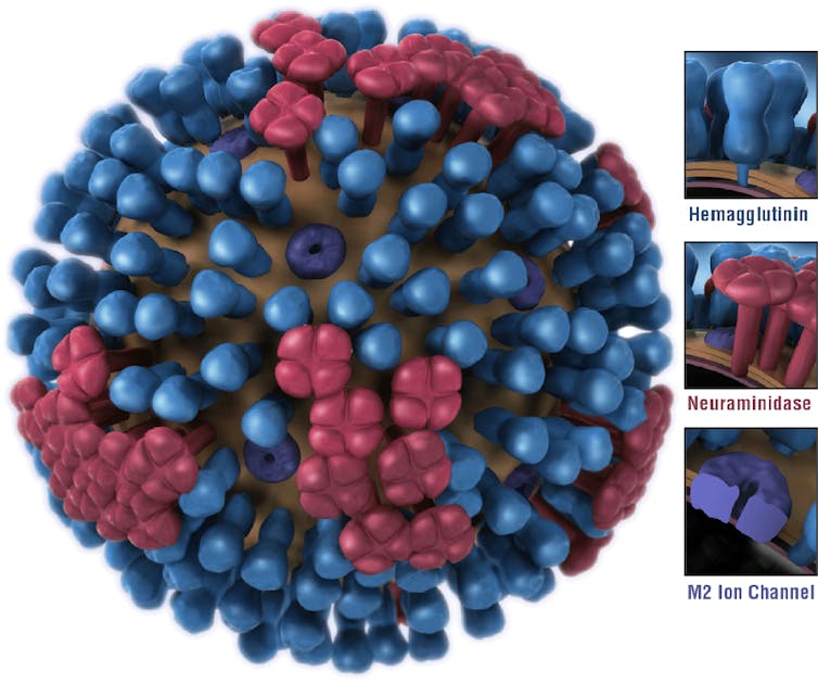 This year the flu came in two waves – here’s why