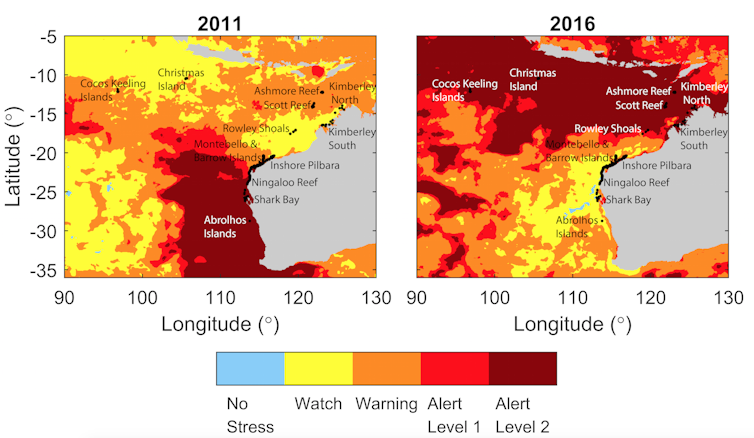 ‘Bright white skeletons’: some Western Australian reefs have the lowest coral cover on record