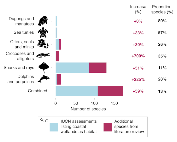 From sharks in seagrass to manatees in mangroves, we've found large marine species in some surprising places