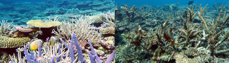 File 20190521 23820 ryutgj.jpg?ixlib=rb 1.1