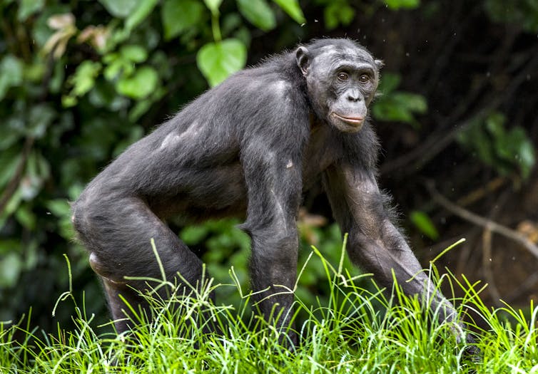 File 20190521 23845 8784pd.jpg?ixlib=rb 1.1