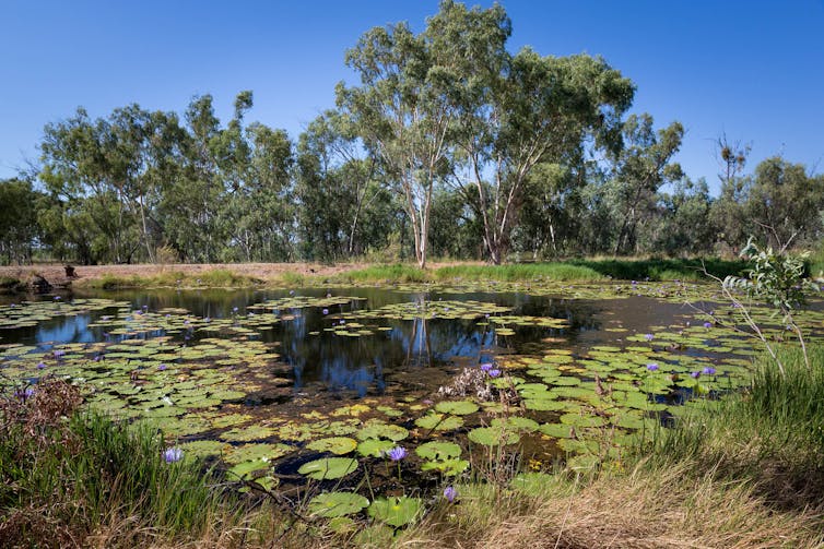 With the LNP returned to power, is there anything left in Adani's way?