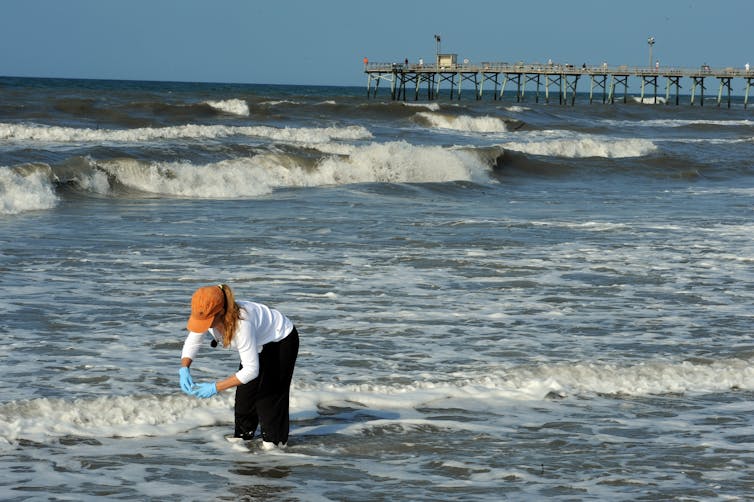 Rapid water quality tests better protect beachgoers