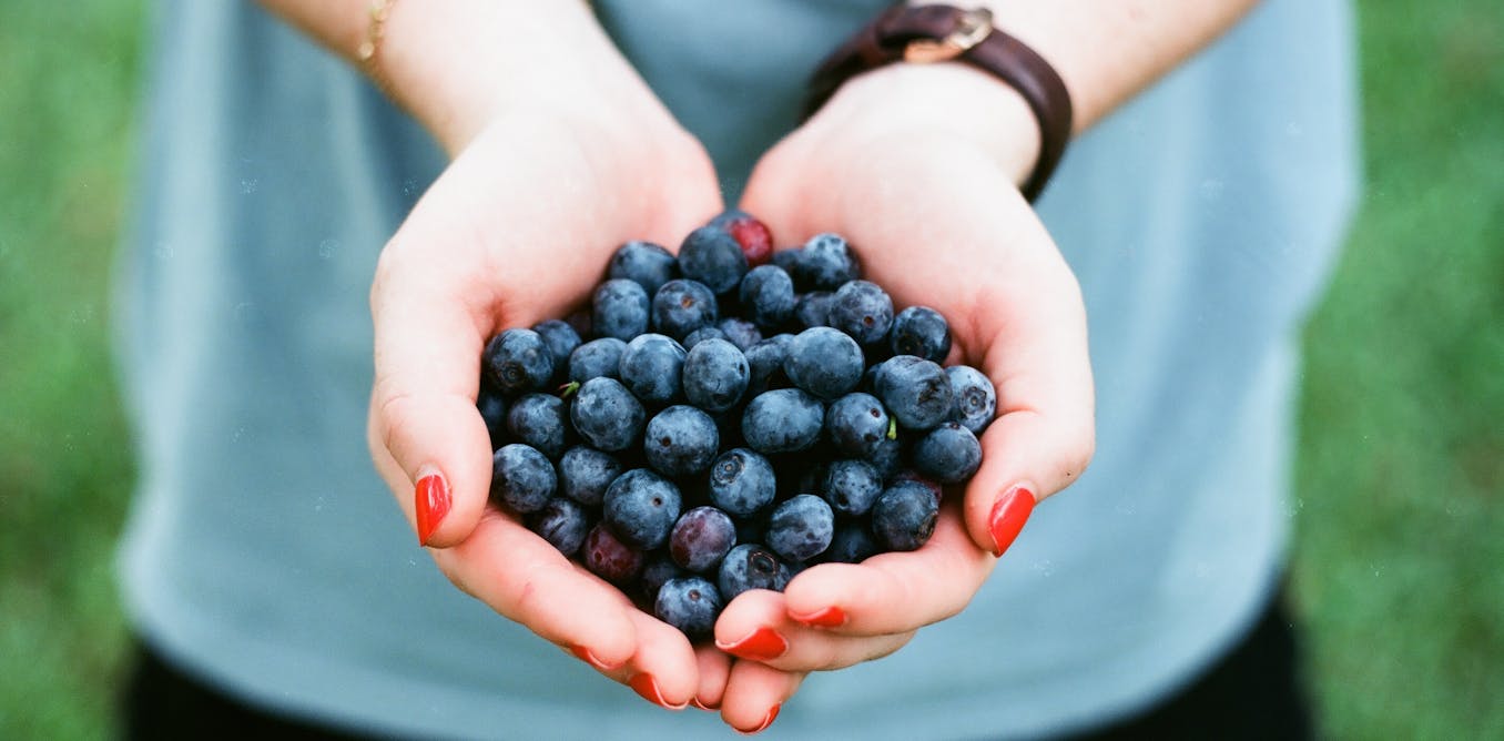 Lima Makanan Ini Hanya Berkhasiat Jika Dikonsumsi Dalam