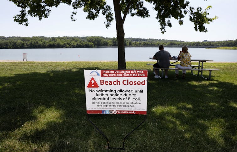 Rapid water quality tests better protect beachgoers