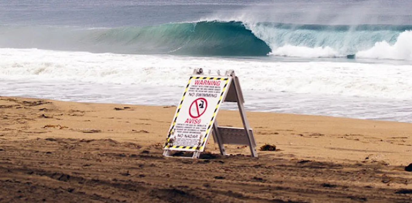 Rapid water quality tests better protect beachgoers
