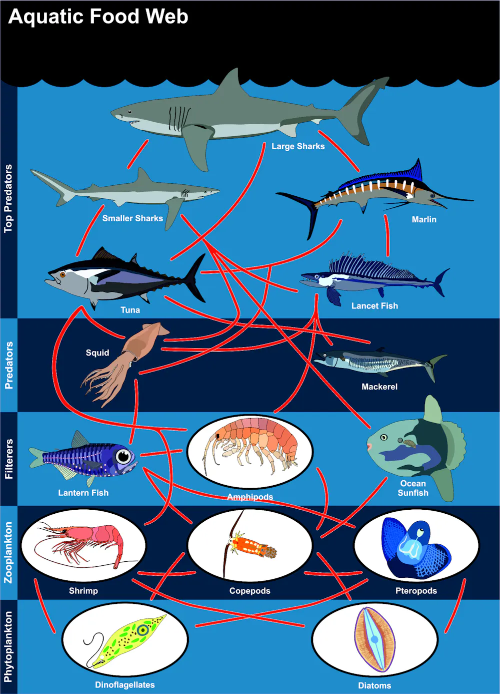 fish species that use lures to catch prey Saltwater Identification Chart #2 - Waterproof Quick Reference Fishing Guide - ID + Fishing Methods - (Atlantic, Maine The Carolinas) Best Saltwater Lures: A Beginner's