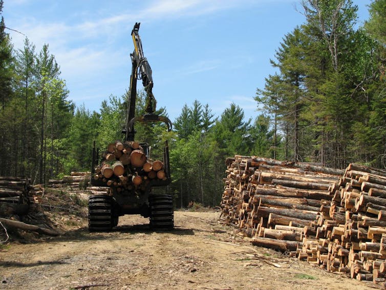 Can protecting land promote employment? In New England, the answer is yes