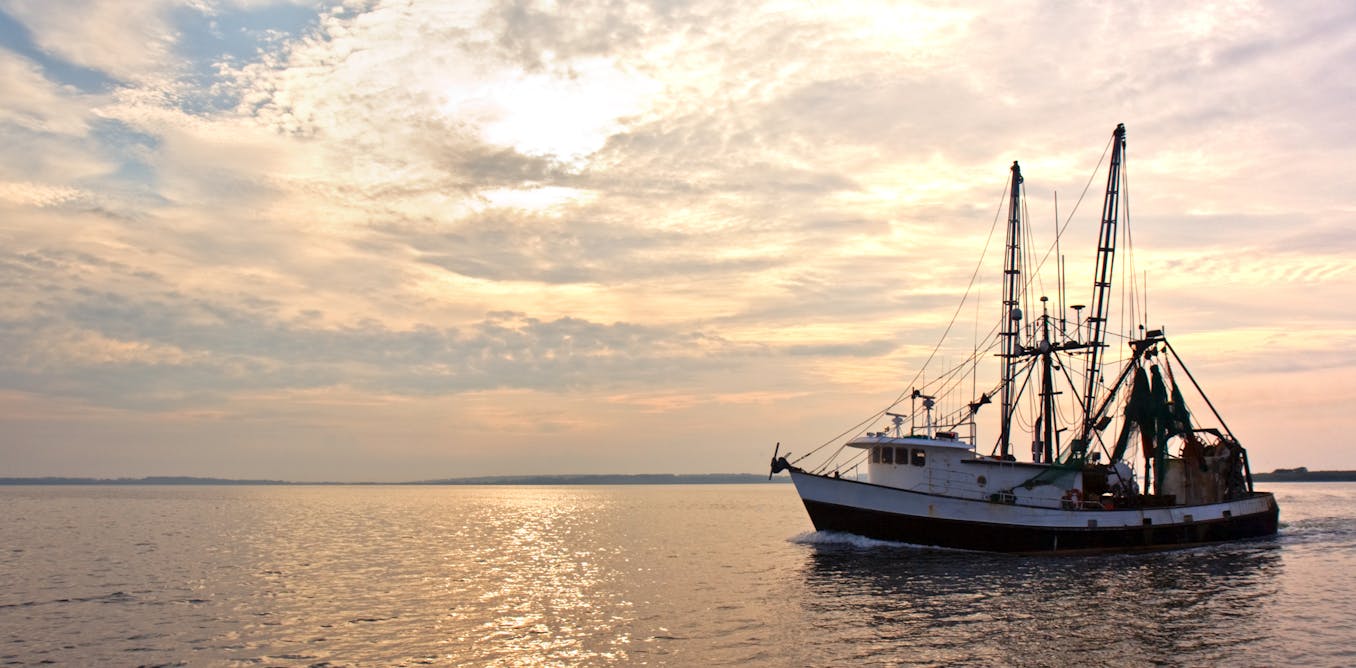 Fishing licences and quota on the west coast are murky business