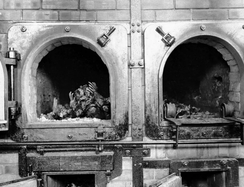Image result for holocaust photos