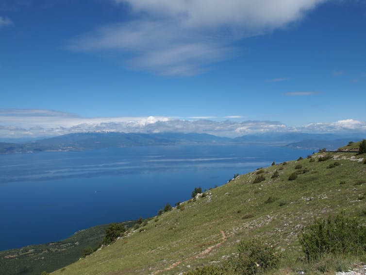 Trees, the ancient Macedonians, and the world's first environmental disaster