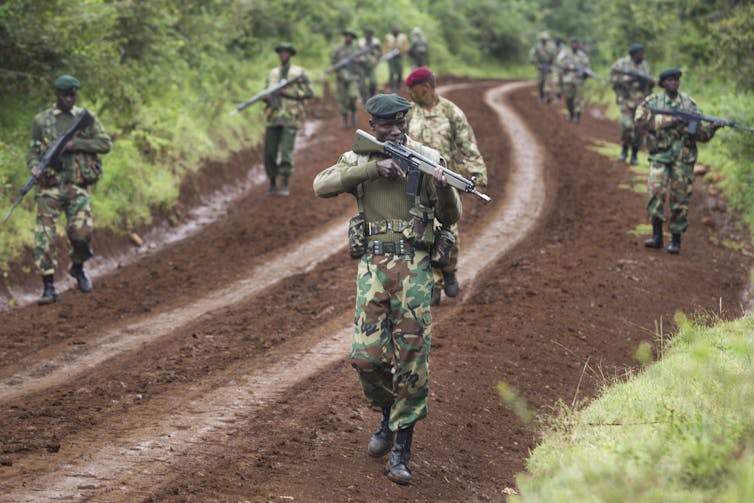 To save the African elephant, focus must turn to poverty and corruption