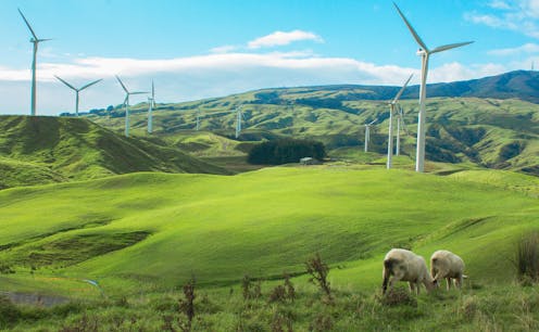NZ Budget 2019: support for lower-emission business, transport, land use